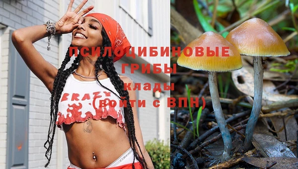 spice Беломорск